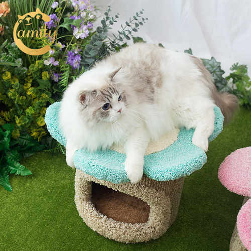 迷你猫窝猫爬架camily蘑菇墩墩