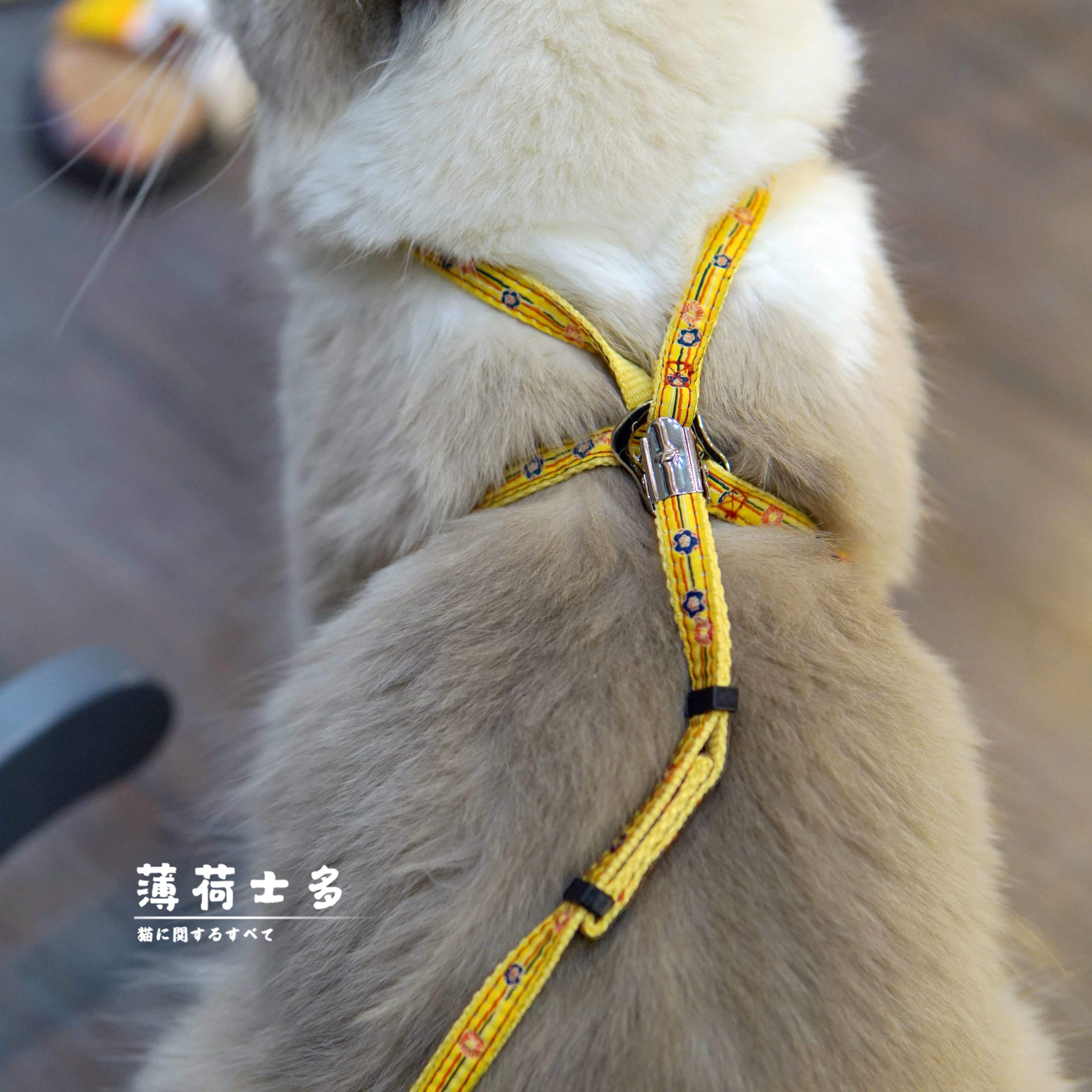 猫咪专用牵引绳!PETIO/ARKIKA猫小町溜猫绳猫链子猫项圈防挣脱