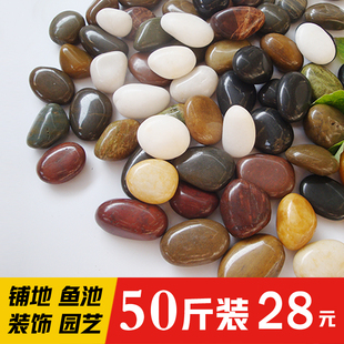 50斤精品鹅卵石铺路铺地庭院花园造景天然石头雨花石原石鹅软暖石