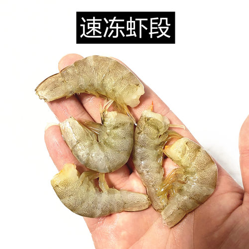 速冻观赏鱼食去头尾虾段去刺尾虾