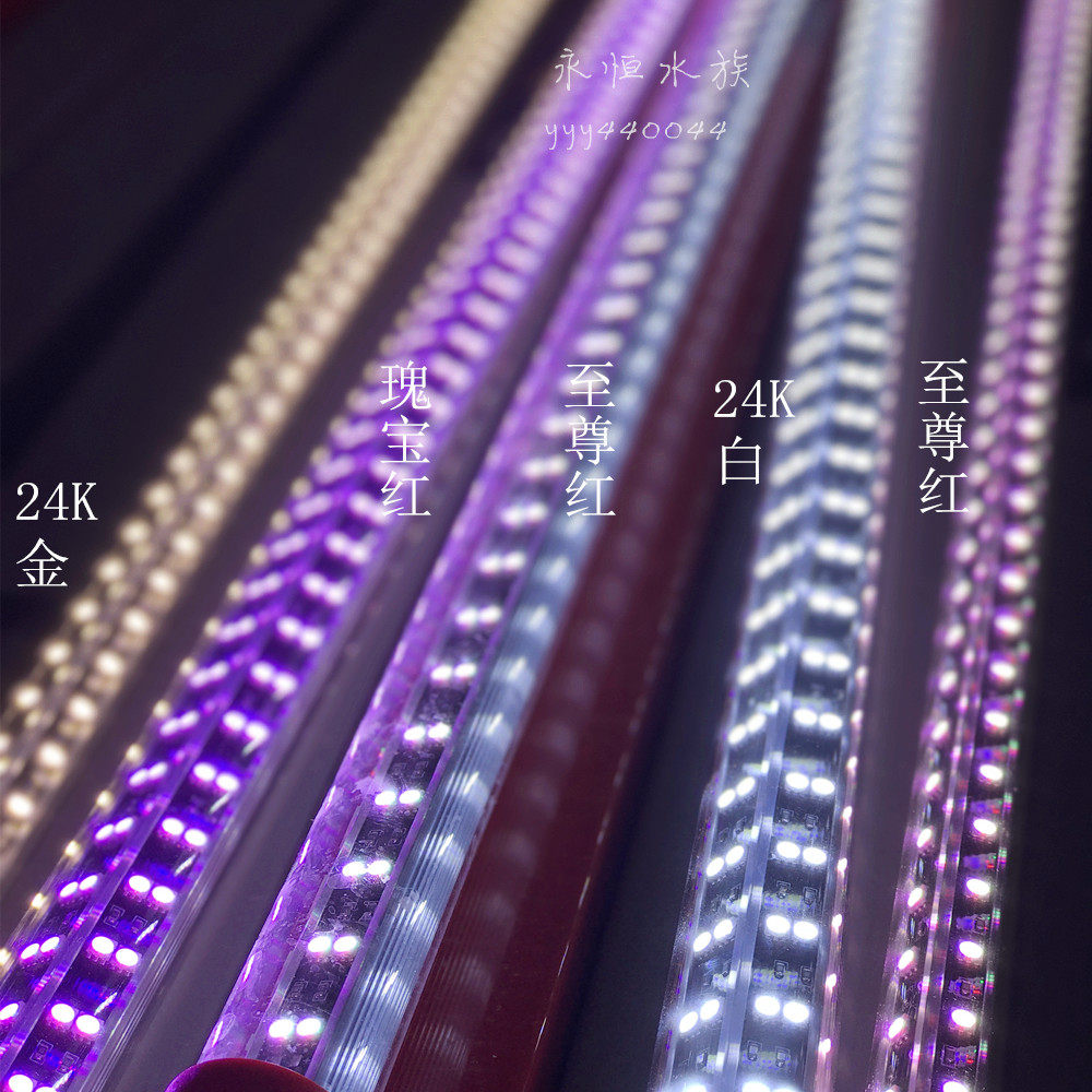 水族箱鱼缸四维神灯 水陆两用防水led灯 红龙金龙鹦鹉热带鱼专用,宠物/宠物食品及用品,照明器材,淘宝优惠券,粉丝福利购,淘宝优惠卷