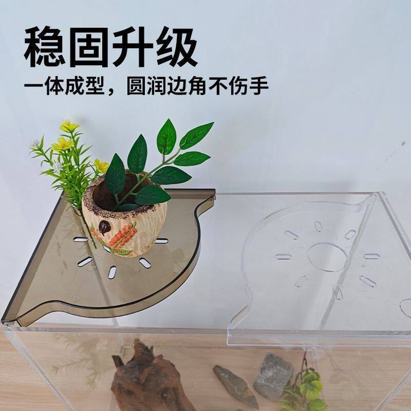 养鱼必备工具非水培绿植托盘架支架造景打孔免置物架代发收纳