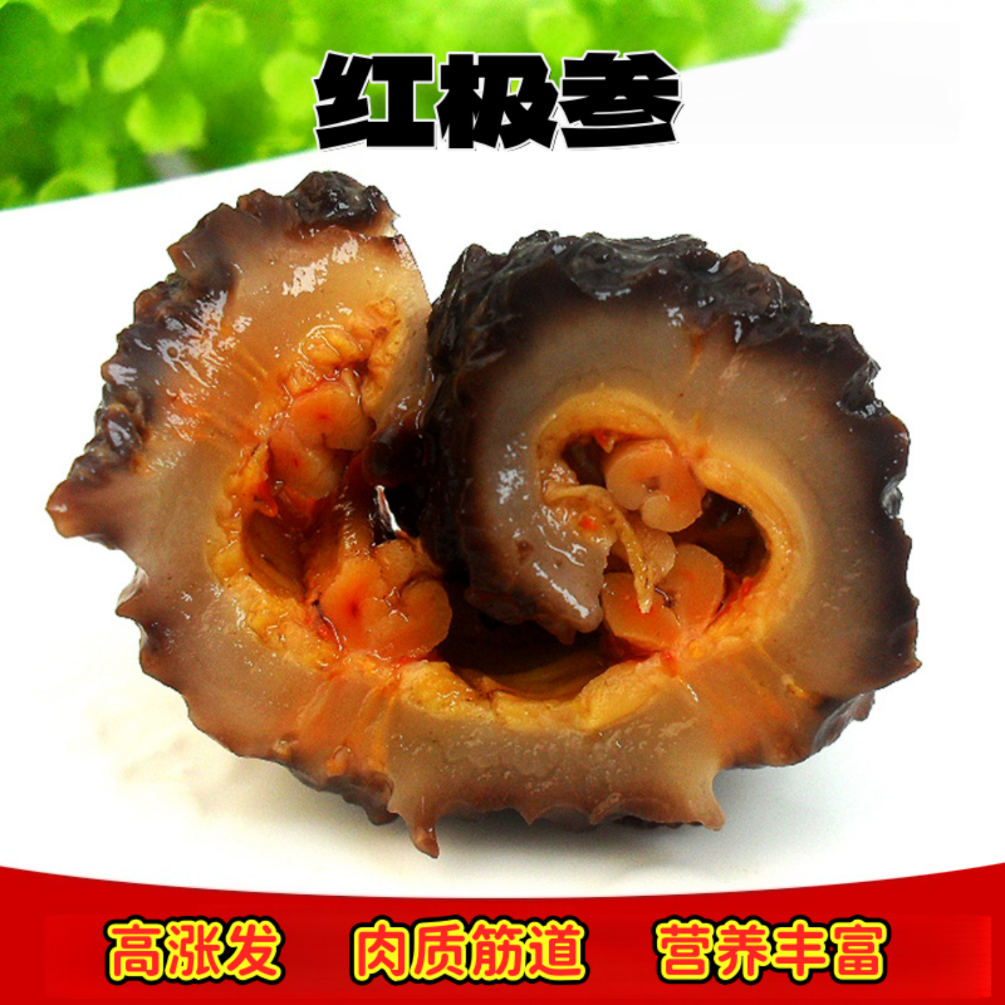 加拿大海参500g北极红参淡干红极参皮水产干货正品海渗