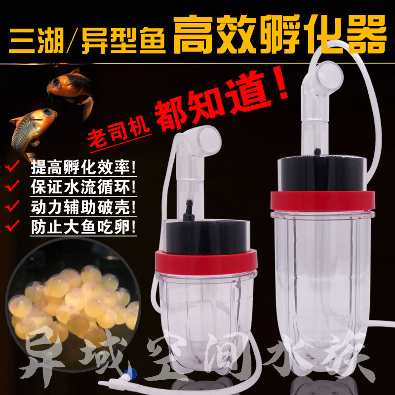 鱼卵孵化器素材模板 鱼卵孵化器图片下载 小麦优选