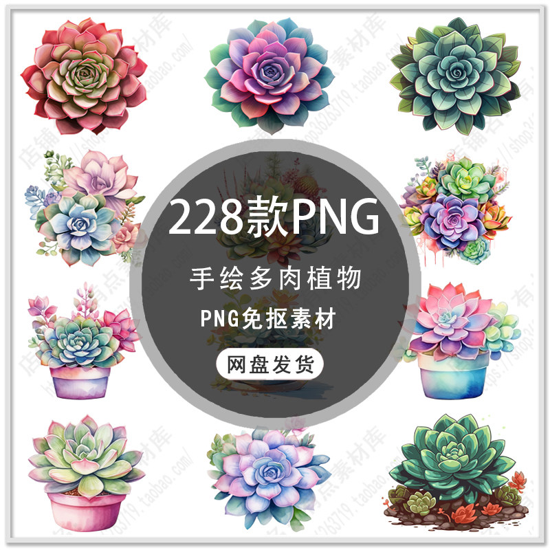 手绘水彩多肉植物插画卡通多肉室内盆栽花卉插画PNG免扣素材