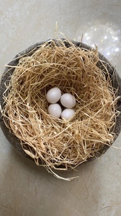 进口麻刀鸟用麻丝抱窝专用一袋可絮3-5鸟窝10袋包邮