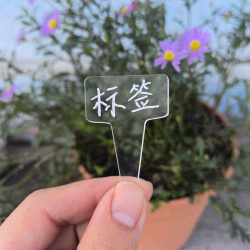 高透明多肉标签T型防水插牌