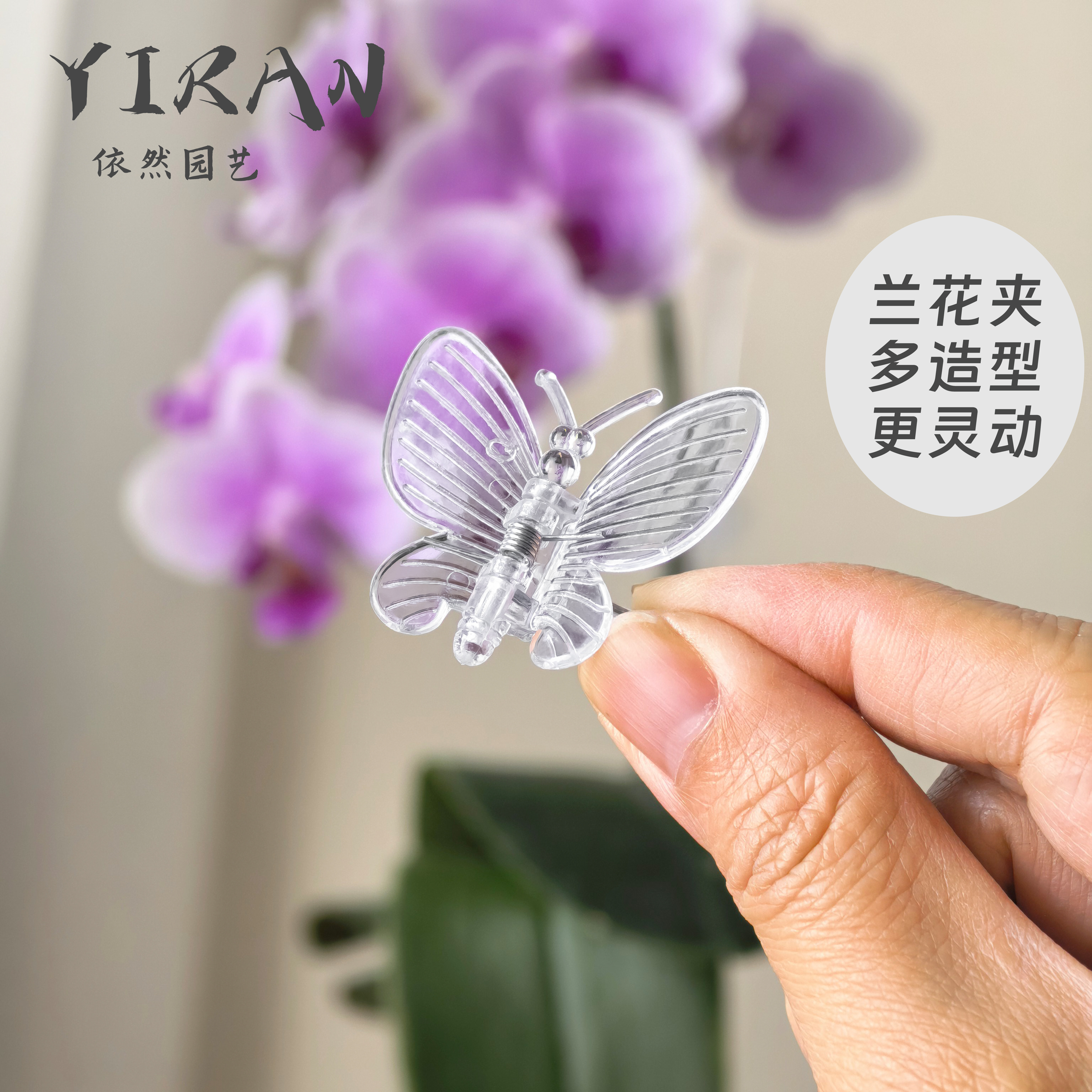 蝴蝶兰夹子大号专用透明固定支撑杆小夹子蜻蜓蝴蝶白透色装饰夹子