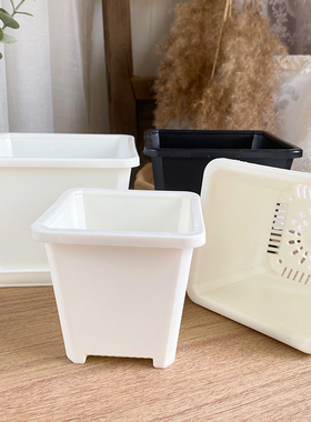 【单拍】塑料多肉花盆乌木景天方盆超厚老桩小群生黑白特硬生石花