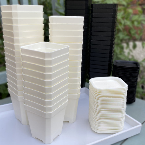 多肉小方盆6/8/12/24黑白托架