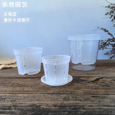定植篮兰花透气内嵌盆