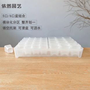 镂空12格托架适用于6cm口径多肉花盆混5口塑料托盘小白方依然园艺