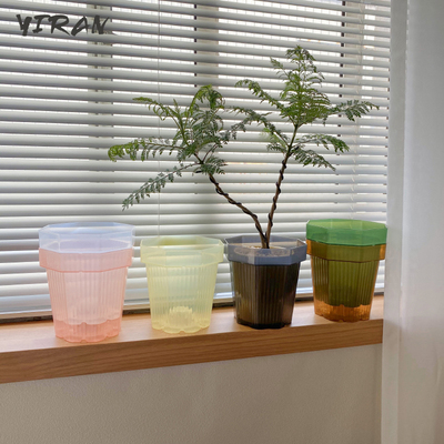 【单拍】炫彩雾光花盆