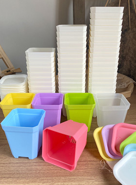 透明小黑方加厚八角花盆小白盆多肉植物育苗盆扦叶插盆塑料十方盆