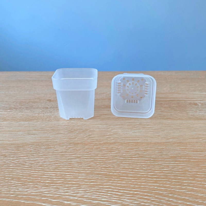 加厚透明5口盆 多肉简约白色矮方植物塑料透气浸盆托盘架控养省土,鲜花速递/花卉仿真/绿植园艺,花盆,淘宝优惠券,粉丝福利购,淘宝优惠卷