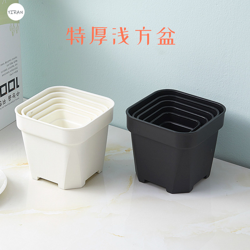 【批发价零售】经典特厚小方盆黑白多肉植物种植叶插塑料简约磨砂