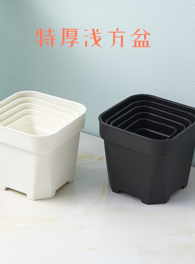【批发价零售】经典特厚小方盆黑白多肉植物种植叶插塑料简约磨砂