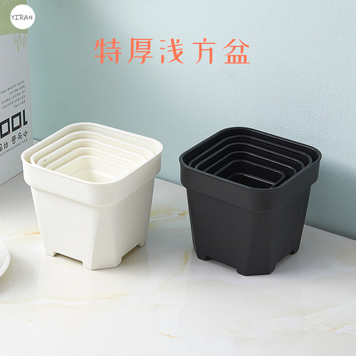 【批发价零售】特厚小方多肉盆