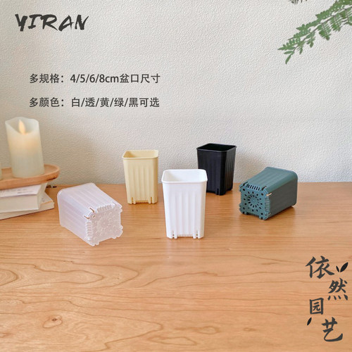塑料简约胖胖盆颜值在线