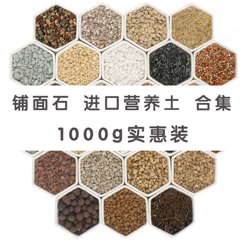 多肉植物泥炭土日向石