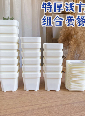 包邮特厚浅方盆组合多肉塑料景天生石花盆小黑方白色叶插盆栽pp盆