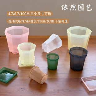 依然园艺彩色半透明多肉塑料八边花盆加厚6.7小口径播种育苗扦插