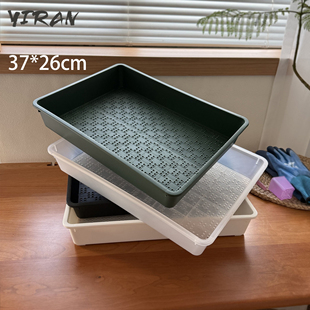 依然园艺透明塑料育苗播种筐盘多肉花卉蔬菜芽苗菜大号种植花盆盘