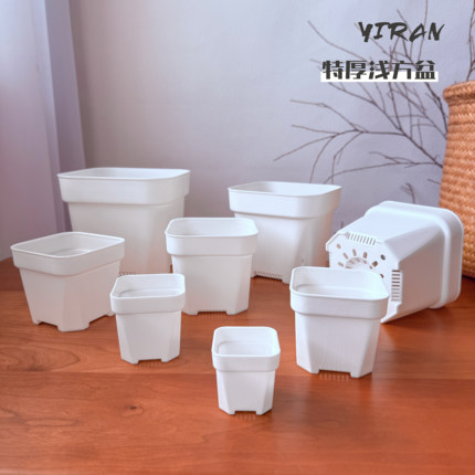 热卖升级特厚多肉花盆塑料矮方盆育苗省土迷你大小口径扦插黑白方