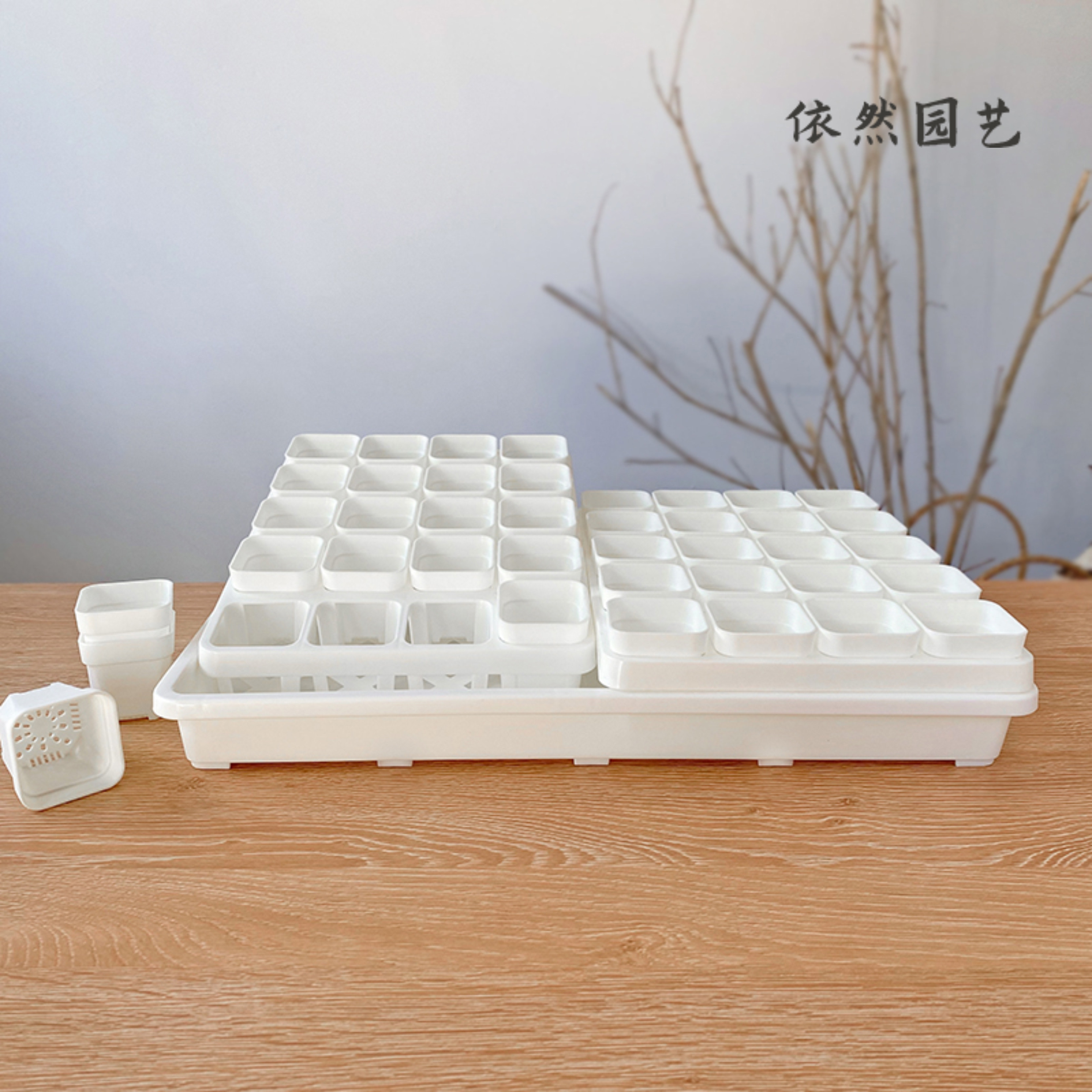 5cm方口矮盆 白色景天多肉控型塑料花盆叶插多肉盆点播小苗盆省土