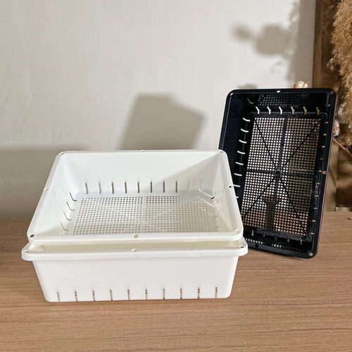 26*18cm播种盘叶插框