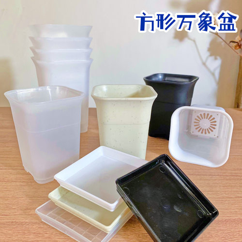 特厚方形万象盆酢浆草盆