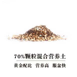 依然精配 多肉植物专用土70%颗粒混合营养土新手土颗粒多无需铺面