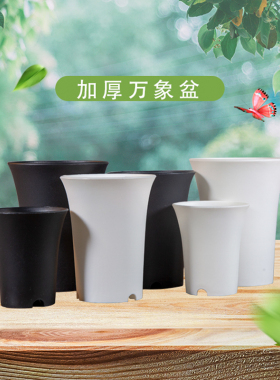 【单拍】黑白色多肉磨砂绿植万象盆圆形老桩塑料加厚高腰玉露控根