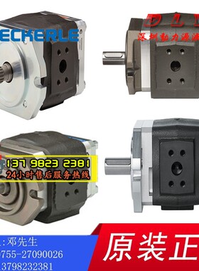ECKERLE艾可勒EIPH6-100RK03/125RK03/160RK03-10/11液压齿轮油泵