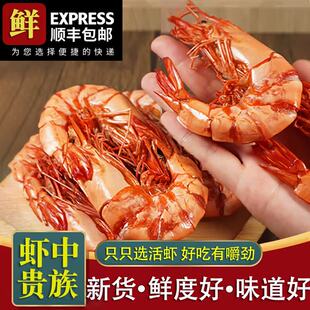 大九节虾干 特大斑节虾干即食烤虾干 风干干虾孕妇零食海鲜干货