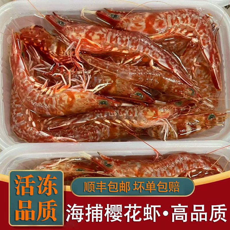 樱花虾刺身甜虾特大新鲜鸡冠虾红虾生腌海鲜水产海虾海捕