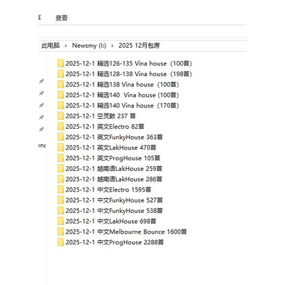 2025 12月包房中英文包厢舞曲Vina Lak 空灵鼓 Prog Electro 133G