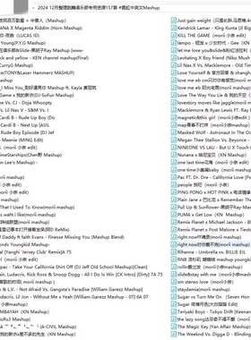 2024 12月整理跳舞俱乐部专用157首霓虹中英文Mashup酒吧DJ套曲