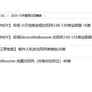 2024 10月整理沈阳风ElectroMelbourne酒吧商业舞曲DJ套曲