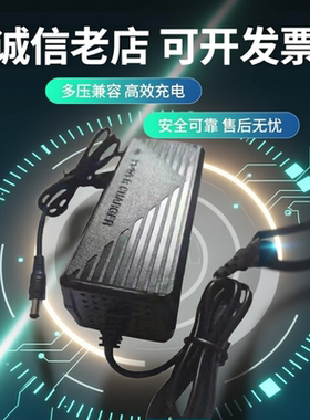 8.4V12.6V13.5V15V16.8V21V25.2V29.4V3A5A锂电池充电器聚合物组