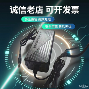 8.4V12.6V13.5V15V16.8V21V25.2V29.4V3A5A锂电池充电器聚合物组