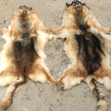 仿真老虎皮整张地毯皮毛一体犬皮沙发坐垫客厅冬季老板椅垫羊皮厚,居家布艺,地毯,淘宝优惠券,粉丝福利购,淘宝优惠卷