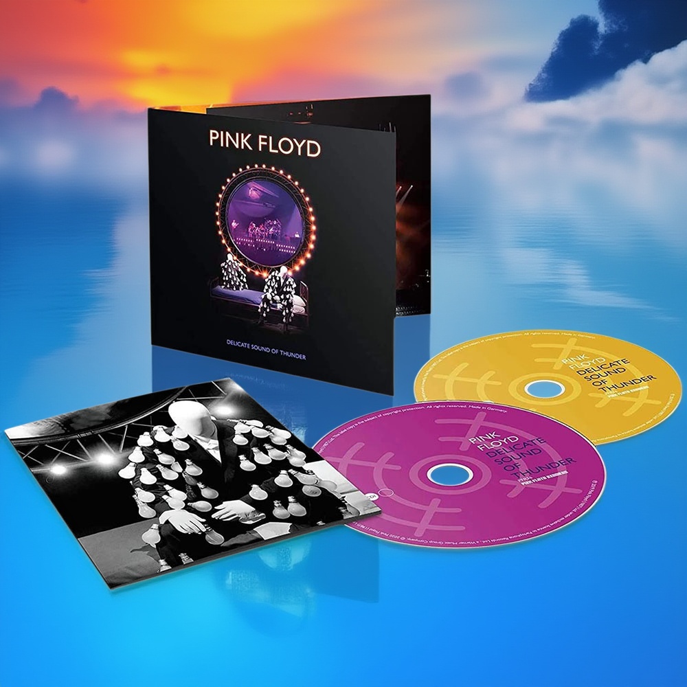 Pink Floyd 平克·弗洛伊德 Delicate Sound Of Thunder 2CD唱片