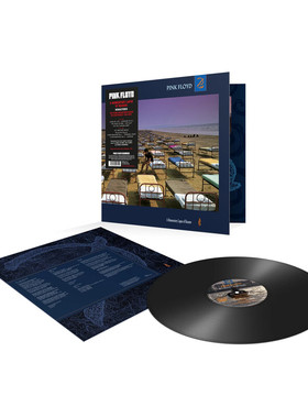 Pink Floyd A Momentary Lapse of Reason LP黑胶唱片 12寸欧版