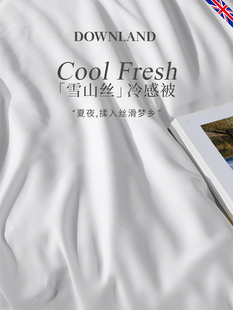 DOWNLAND顺滑款雪山冷感被空调被夏季可机洗薄款夏凉被夏被子被芯