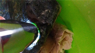 翡翠原 墨翠漆黑大马坎老坑细黄皮壳硬种老 冰玉手镯包邮