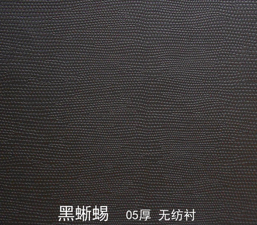 老式相机装饰饰皮皮革蜥蜴