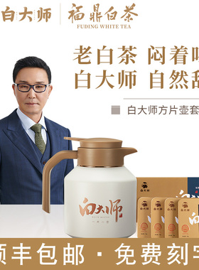 白大师方片壶焖茶壶福鼎白茶礼盒套装寿眉老白茶闷泡壶保温壶印字