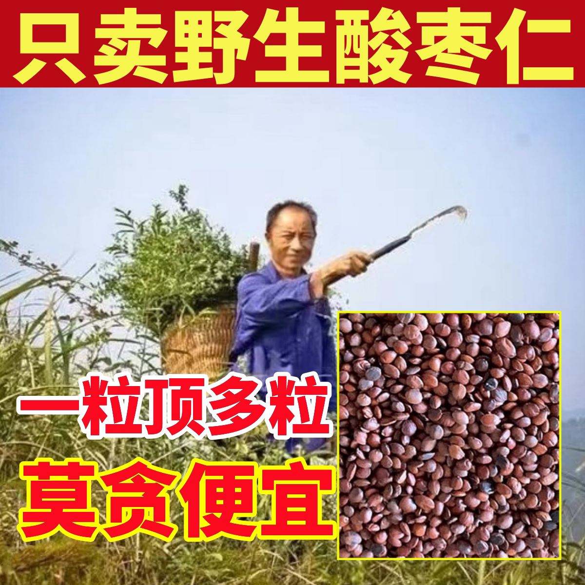酸枣仁深山野生酸枣仁纯天然正宗中药材百合茯苓安神助眠失眠泡水
