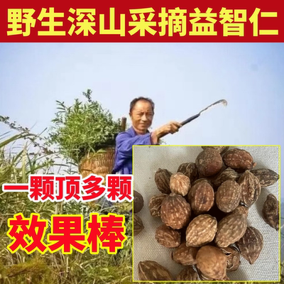 益智仁深山纯野生益智仁纯天然